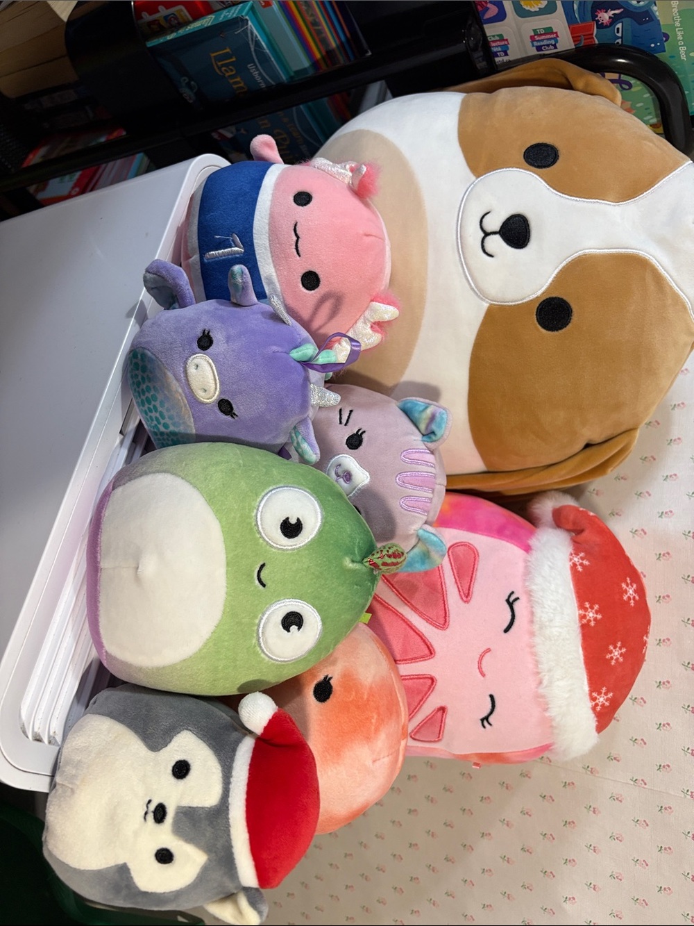 Squishmallow bundles